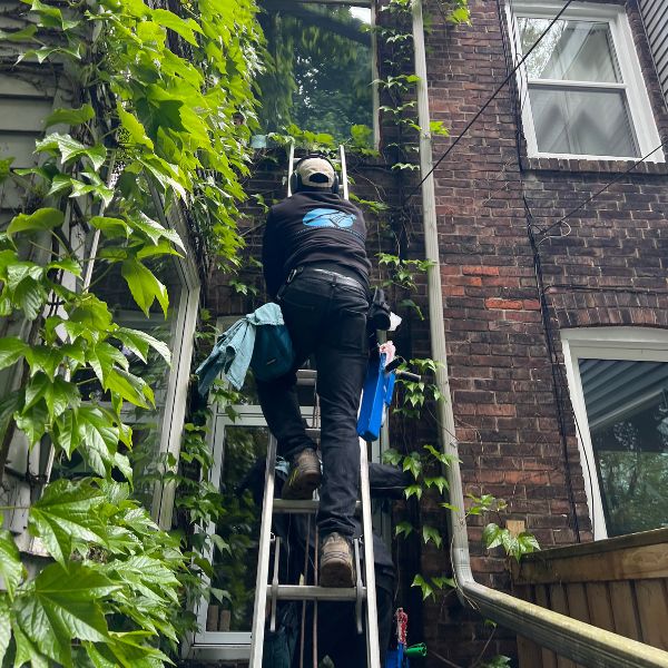 best-window-cleaner-in-east-york