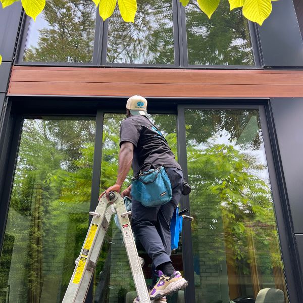 window-cleaning-services-east-york-silverlight-windows-and-eaves