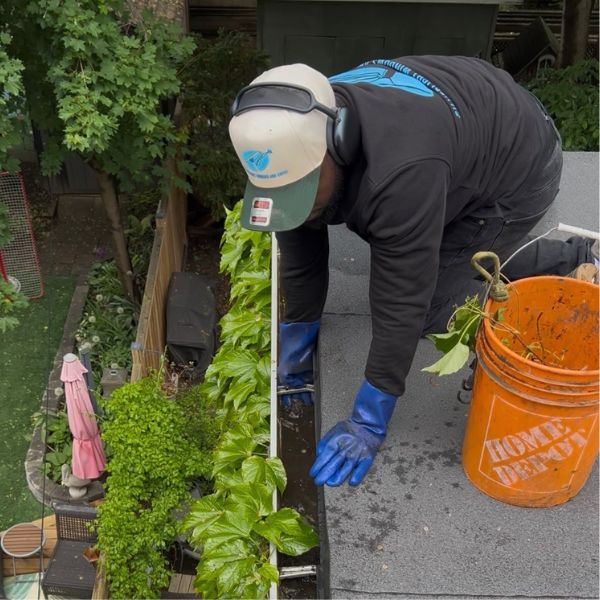 eavestrough-gutter-cleaning-mississauga-silverlight